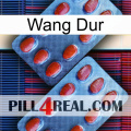 Hard Wang 05